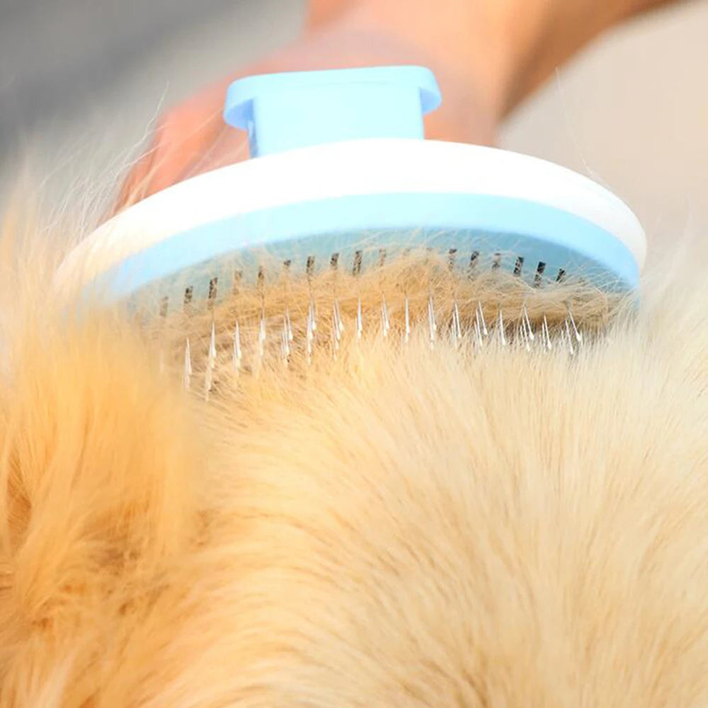 Peigne D'Épilation Pour Chiens, Brosse De Toilettage En Acier Inoxydable, Peignes Pour Chats, Brosses Automatiques Antidérapantes Pour Chiens Et Chats