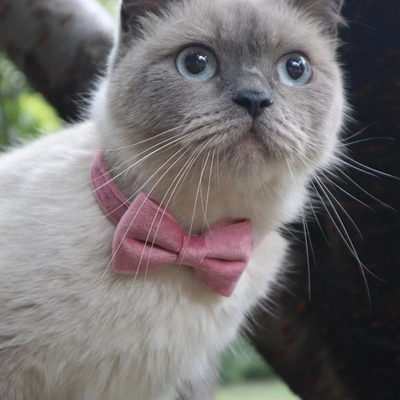 Collier En Velours Solide Avec Cloche Pour Chat, Nministériels D Papillon, Accessoire De Sécurité Réglable Pour Chiot, Chihuahua