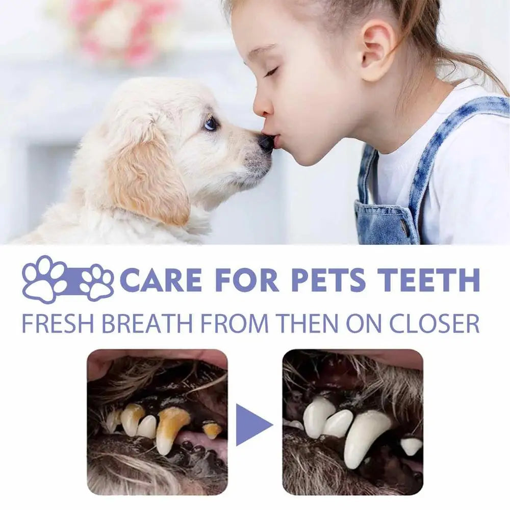 Spray De Nettoyage Buccal Pour Animaux De Compagnie, 50Ml, Bouche De Chien, Dents Fraîches, Déodorant Propre, Prévient Le Calcul, Élimine La Mauvaise Haleine Du Chaton, Fournitures Pour Animaux De Compagnie
